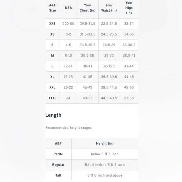 Abercrombie & Fitch Paloma Dark Green Long Sleeve Velvet Dress • M • NWT - Picture 8 of 8